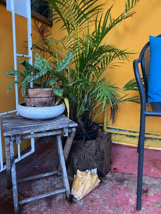 Bnb Somom Mobay Lodging Montego Bay Exterior foto